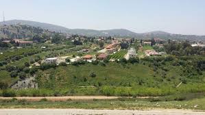 بعد 1633 1635 عاما.. مبادرة العربية