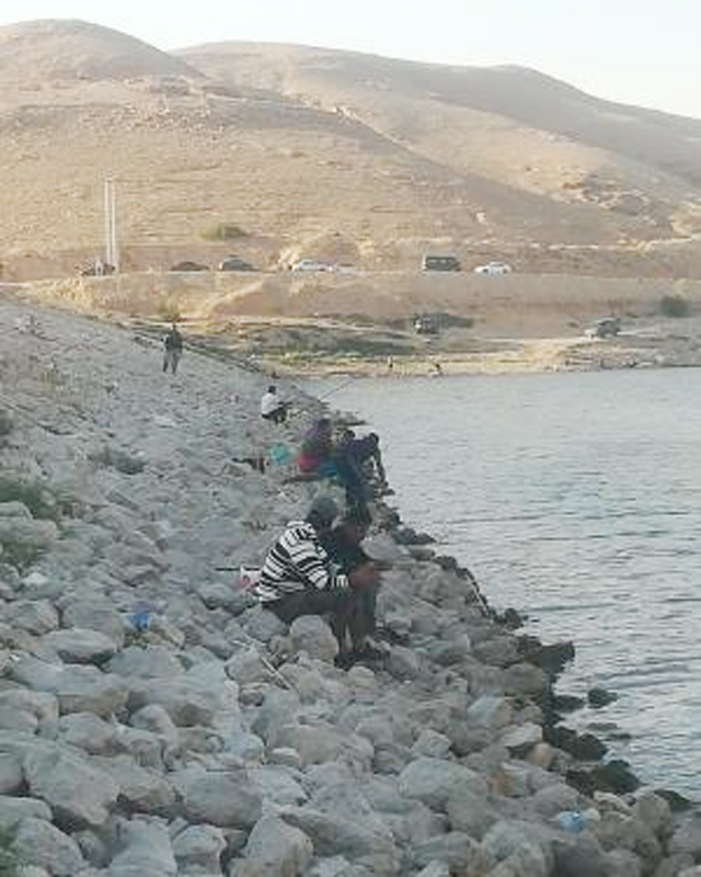 صيد الأسماك في بحيرتي سدي الكرامة