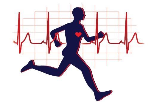 دراسة تحسم الجدل: هذا تأثير التمارين