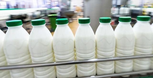 الحكومة واللبن .. ما الذي تفعله