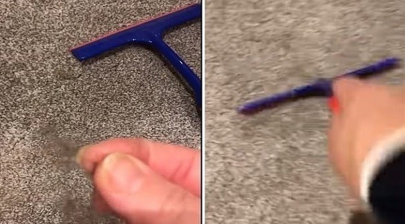 حيلة ذكية لتنظيف السجادة من الشعر