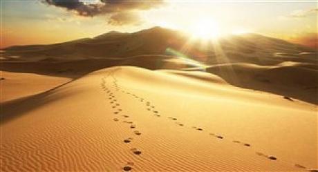 من سنن الله تعالى في خلقه