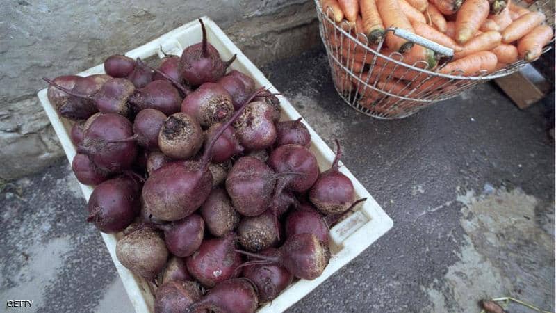 الشتاء «بدون أمراض».. 3 أغذية تعزز