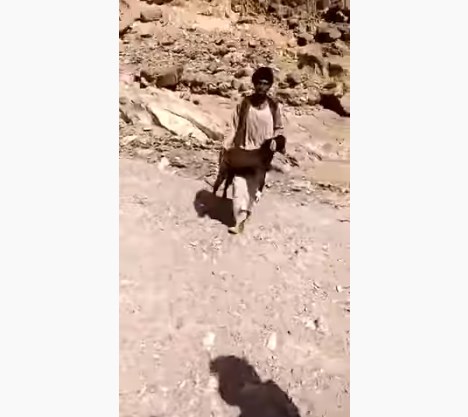 آدم السوداني رفض أخذ مقابل عن