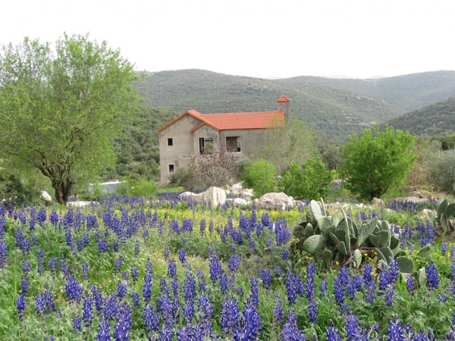 طقس الخميس.. أجواء ربيعية دافئة