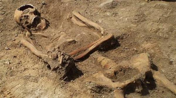 راعي أغنام يعثر على بقايا عظام