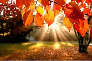 طقس مستقر لطيف نهارا .. وبارد