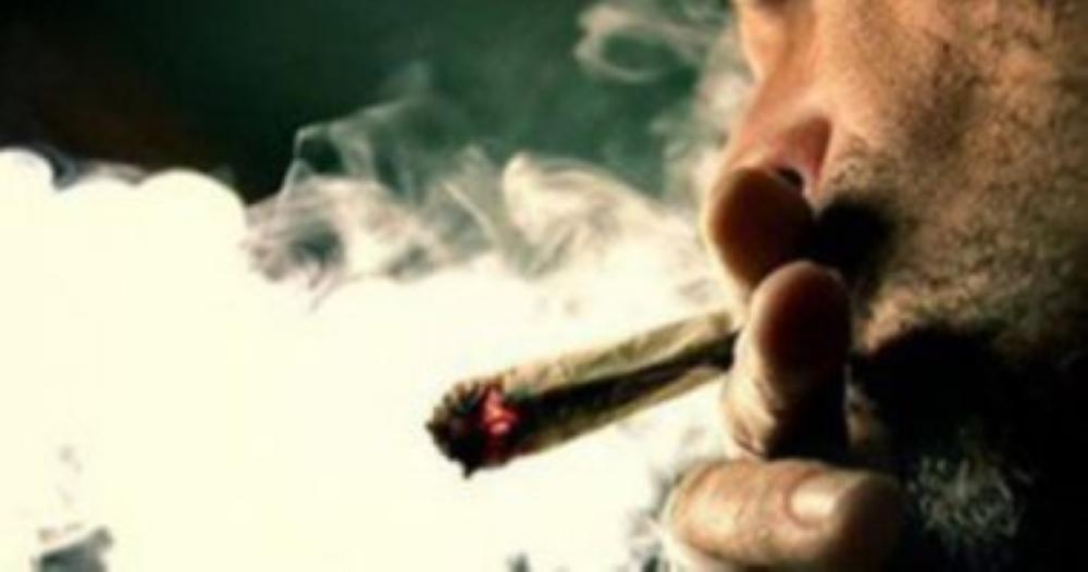 مصر.. حشيش داخل المحكمة