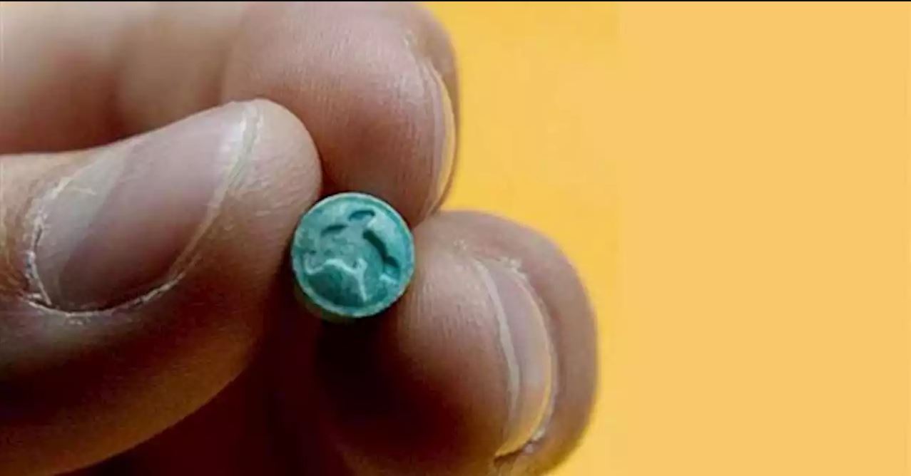 ما هي حبوب الفيل الأزرق؟ وما