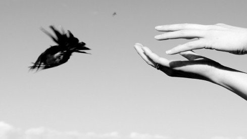 الحرية .. سيرة مفهوم