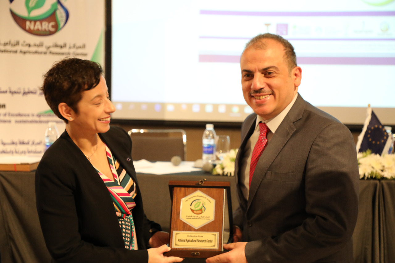 حداد و سيو يطلقان مشروع الاندماج