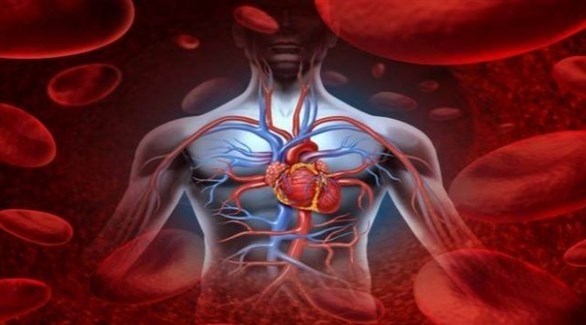 غسل الأسنان 3 مرات يوميا يحمي