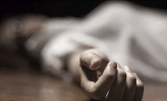 تضامن: الإناث يشكلن حوالي 30% من