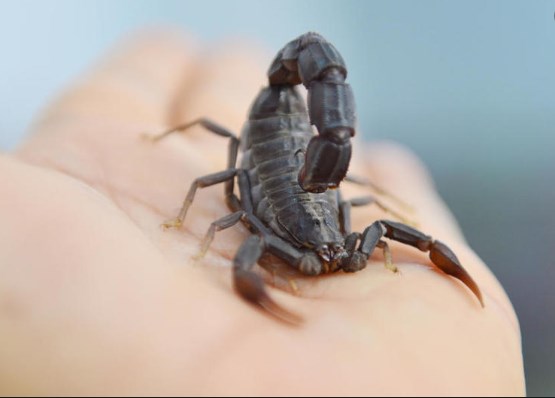 امرأة تتعرض لحادث «غريب» في الأجواء..