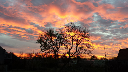 تمتعوا اليوم ببعض الشمس