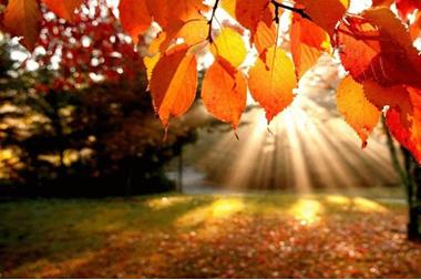 طقس الخميس.. درجات حرارة حول معدلاتها