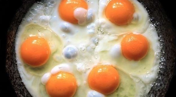 كم بيضة يمكن للطفل أكلها في