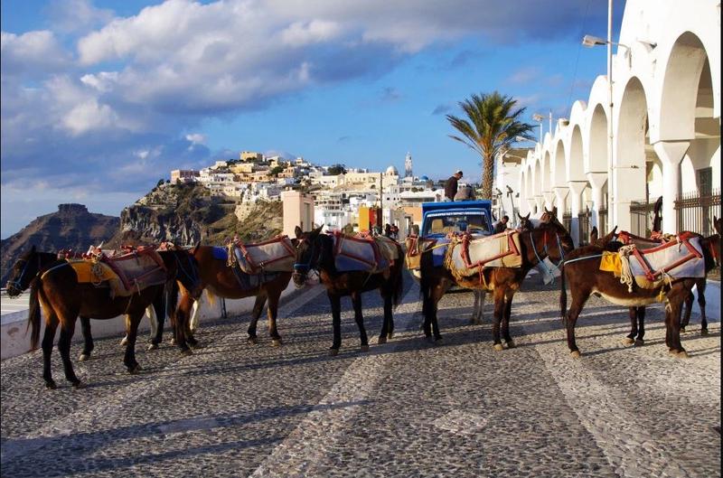 عقوبة صارمة تواجه السائحين البدناء الذين