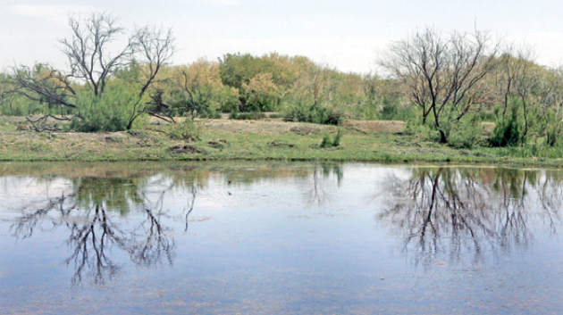 مكبات مياه عادمة ونفايات صلبة تقتل