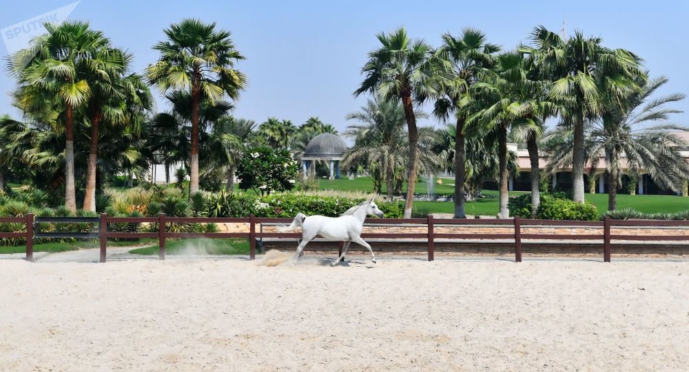 مليونير يطلب 10 أشخاص ليعيشوا معه