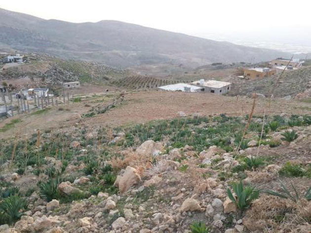 منازل بالمشيرفة في كفرنجة.. ما الذي