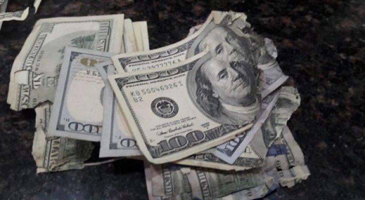 فأر يقضم 50 ألف دولار لمواطن