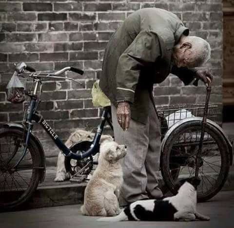 ألم تقل لك الوالدة أن السكري