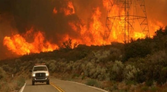 موريسون: تغير المناخ ليس وحده السبب