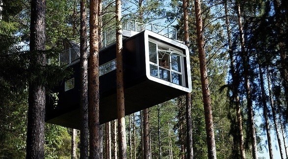 أجمل التجارب السياحية في أعماق الغابة