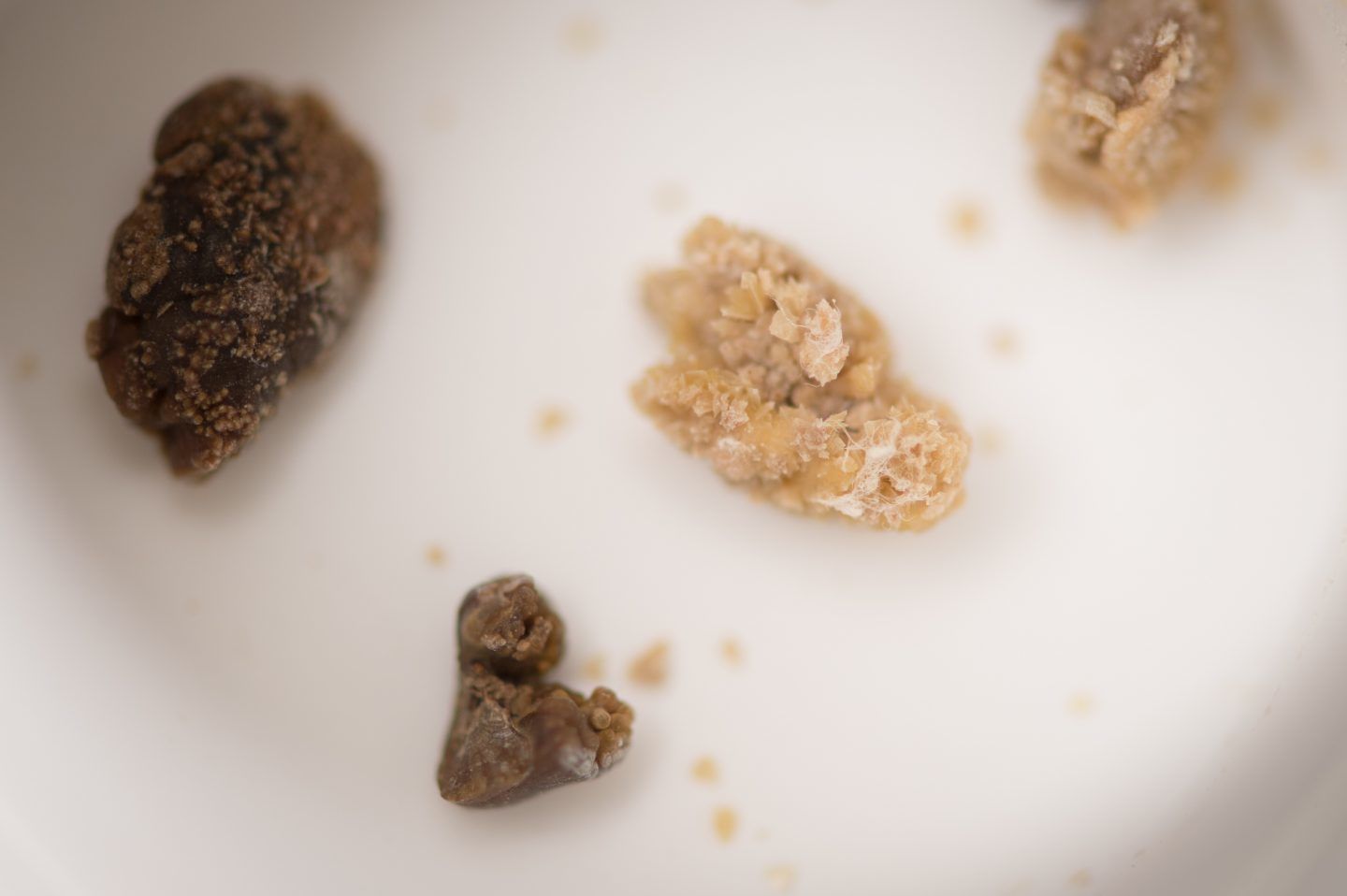 الغذاء والدواء: سنتخذ الإجراءات اللازمة حيال