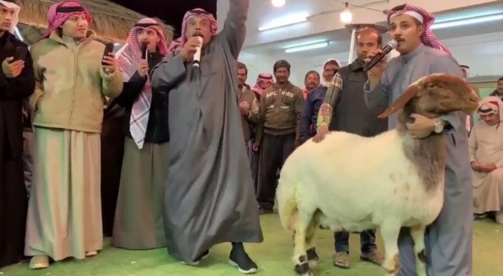 بيع نعجة في الكويت بحوالي 94