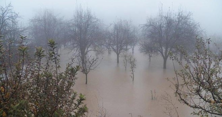 الزراعة تحذر