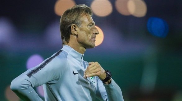 الأخضر ورينار.. الاندماج المثالي