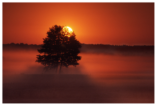 طقس الاسبوع.. عودة خجولة إلى الشمس