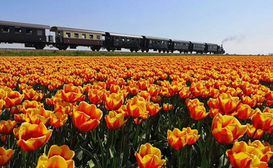 هولندا تتخلى عن اسمها