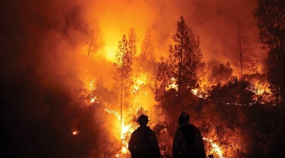 أستراليا تتعرض لموجة حرارة شديدة مع