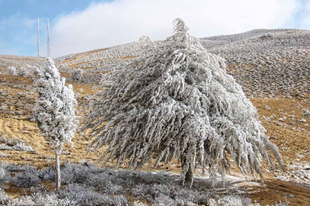 تحذيرات من الصقيع خلال الليالي المقبلة
