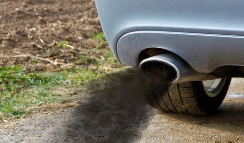 «كيا سيفيا».. قطّة برية.. ليست تلك