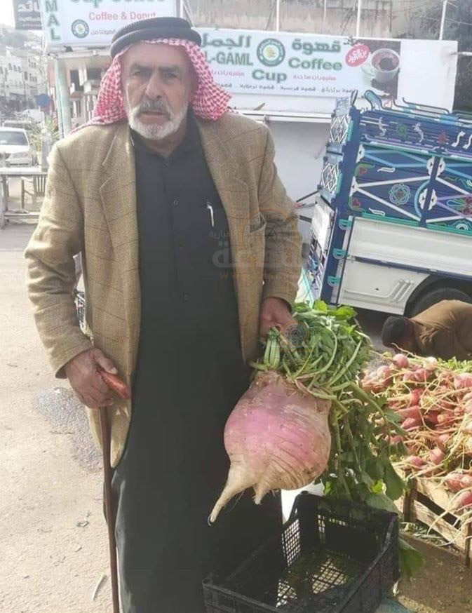 أردني يستقبل 2020 بأكبر رأس فجل