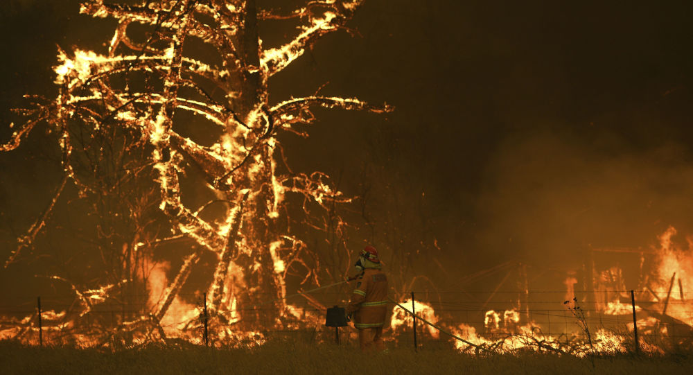 نفوق نصف مليار حيوان بسبب حرائق