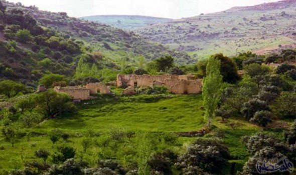 البوتاس: لم نستحوذ على أراض في