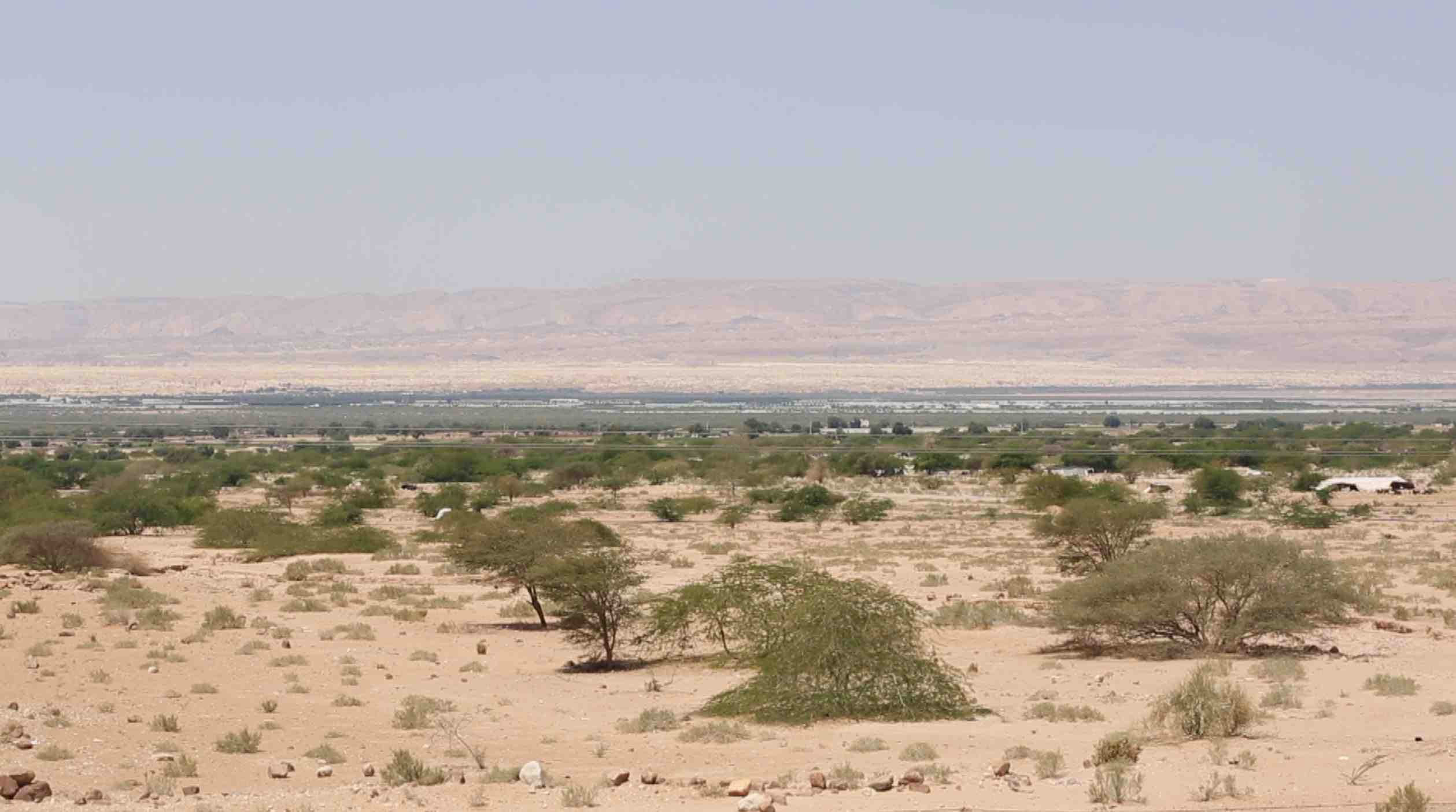 مصدر حكومي: الإجراءات في منطقة فيفا