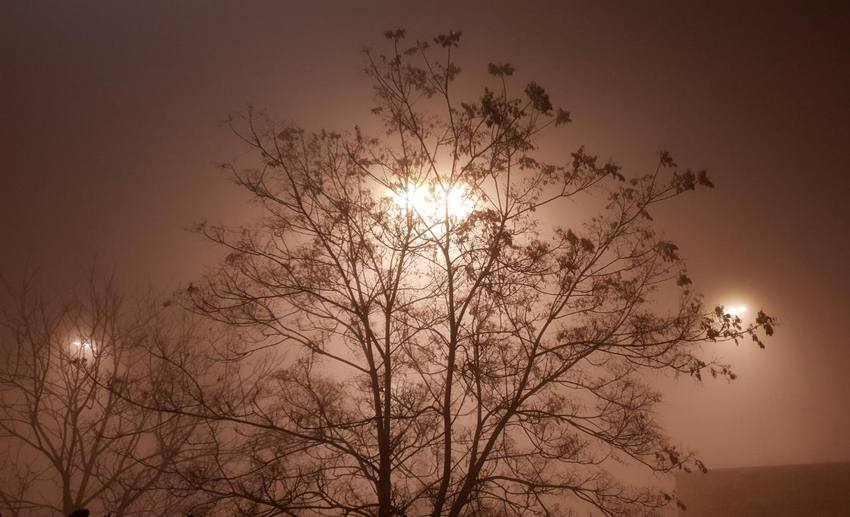 إرشادات هامة لقيادة آمنة في الأجواء