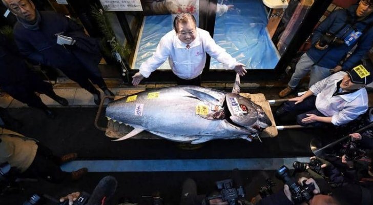 بيع سمكة تونة عملاقة بـ1.8 مليون