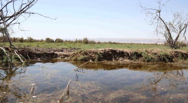 «حزب الطبيعة» يطالب الرزاز بتزويده بالمعلومات