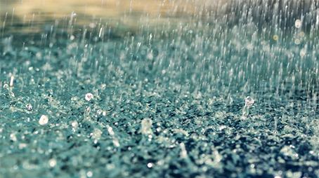 مثل أمتى مثل المطر