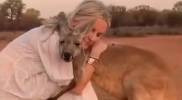 كنغر يحتضن إمرأة أنقذته من حرائق