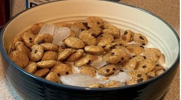 الثلج مع حبوب الإفطار.. توجه غذائي