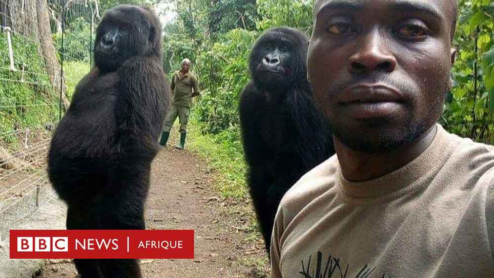 صورة من الكونغو من افضل صور