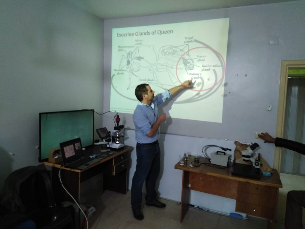البروفيسور مايكل جوبليرش يحاضر بالنحالين الأردنيين